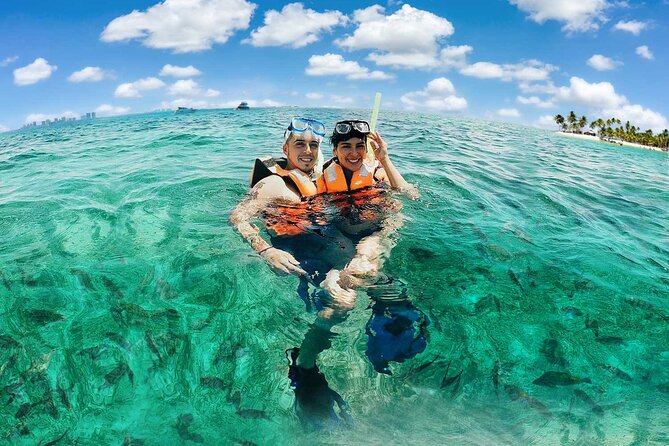 Amazing Snorkeling Experience + Real Mexican Tacos - Puerto Morelos Reef Park, why this route is the point of the trip