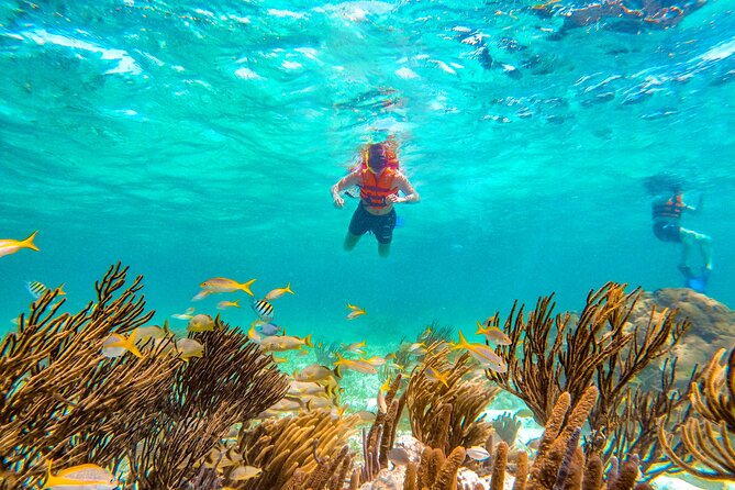 Amazing Snorkeling Experience + Real Mexican Tacos - Weather and water conditions, what to expect if the sea gets pushy