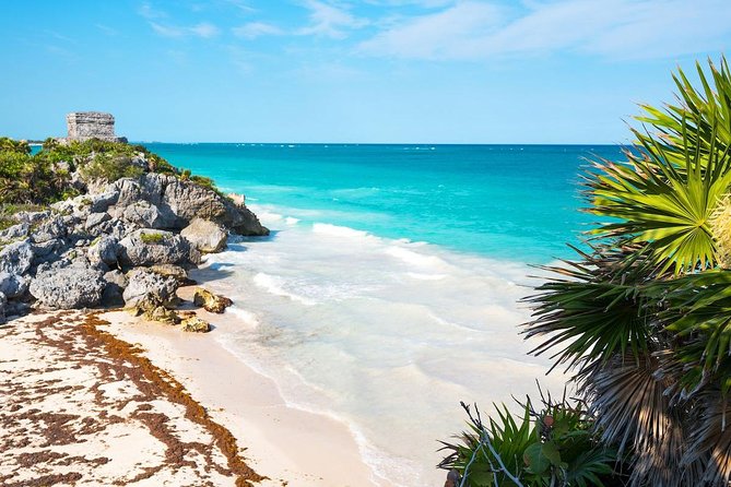 Amazing Tour 4x1 to Coba, Tulum, Cenote & Playa del Carmen. Lunch included - Cenote Kuxtal swim: sacred setting, cave systems, and real water time