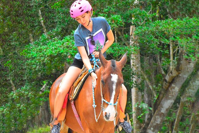 ATV Circuit in Cancun, Horseback Riding, Zip Lines, Cenote, lunch - Zip Lines, Suspension Bridge, and Spider Web: The heights plus the rules