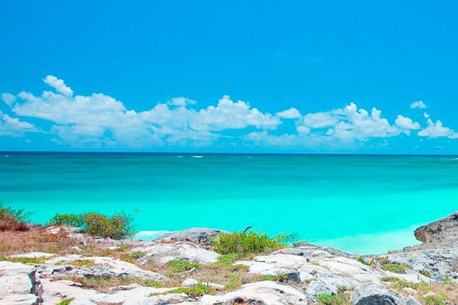 Best Tour to Tulum, Coba and Playa Del Carmen. No hidden fees! - Cenote Kuxtal Swim Time, Expect Variation