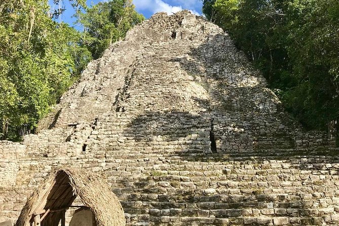 Best Tour to Tulum, Coba and Playa Del Carmen. No hidden fees! - Playa del Carmen 5th Avenue, A Short Taste Instead of a Full Day