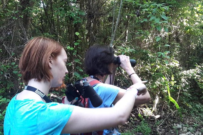 Bird watching ecofriendly tour from Cancun & Riviera Maya - Your guide’s job: turning random birds into real species