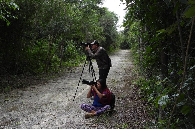 Birds of the Mayan World 2 / Route of the cenotes - The biggest benefits for solo travelers