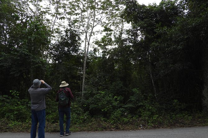 Birds of the Mayan World 3 - Pace, fitness, and what to pack for a 6-hour walk