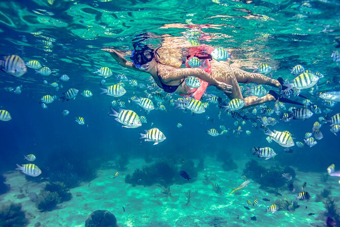 Breathtaking experience driving a speedboat in Cancun with Snorkeling included - How the 2 hours 30 minutes pacing works (and why it feels efficient)