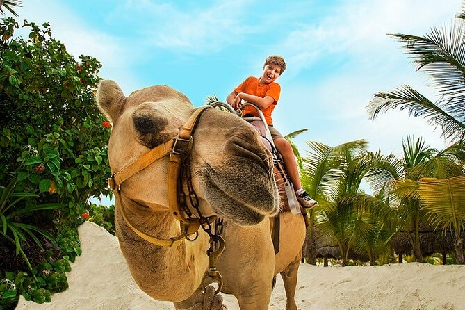 Camel Expedition and Beach Club In Riviera Maya - Jungle Paths and White-Sand Dunes: Your Ride Segment