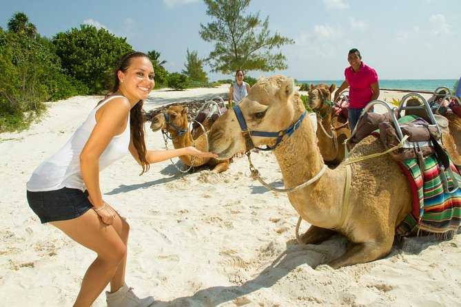 Camel Expedition and Beach Club In Riviera Maya - Price and Value Check: Is $144 Worth It