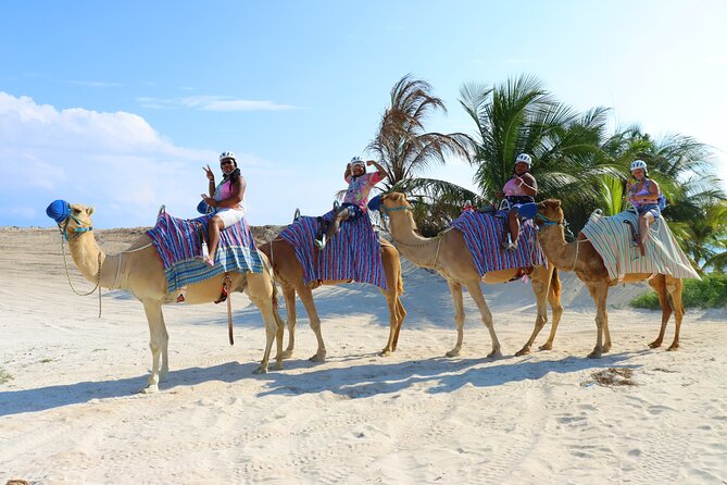Camel Expedition and Beach Club In Riviera Maya - Tips to Make It Smoother, Cheaper, and Less Stressful