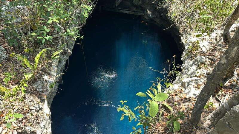 Cancun 2 Cenote Dives: The Pit & Dos Ojos - Certified Divers - Why cenote scuba sessions feel different in Cancun