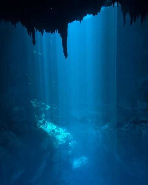 Cancun 2 Cenote Dives: The Pit & Dos Ojos - Certified Divers - Dos Ojos: second underwater session, lunch, and optional extra time