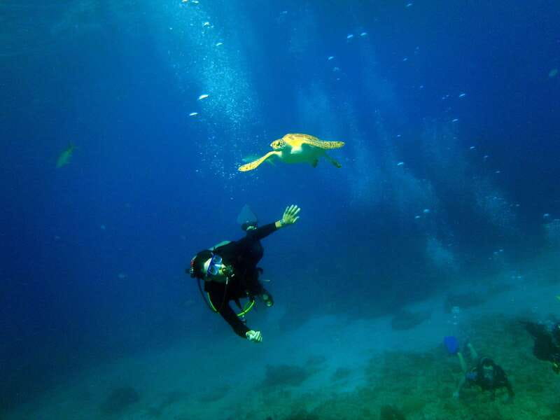 Cancun: 2-Tank Dive for Beginners with MUSA and Reef Dive - Key Things You Should Notice Before You Go