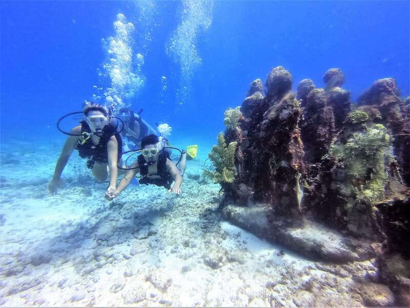 Cancun: 2-Tank Dive for Beginners with MUSA and Reef Dive - Learning Gear and Safety, Without Overcomplicating It