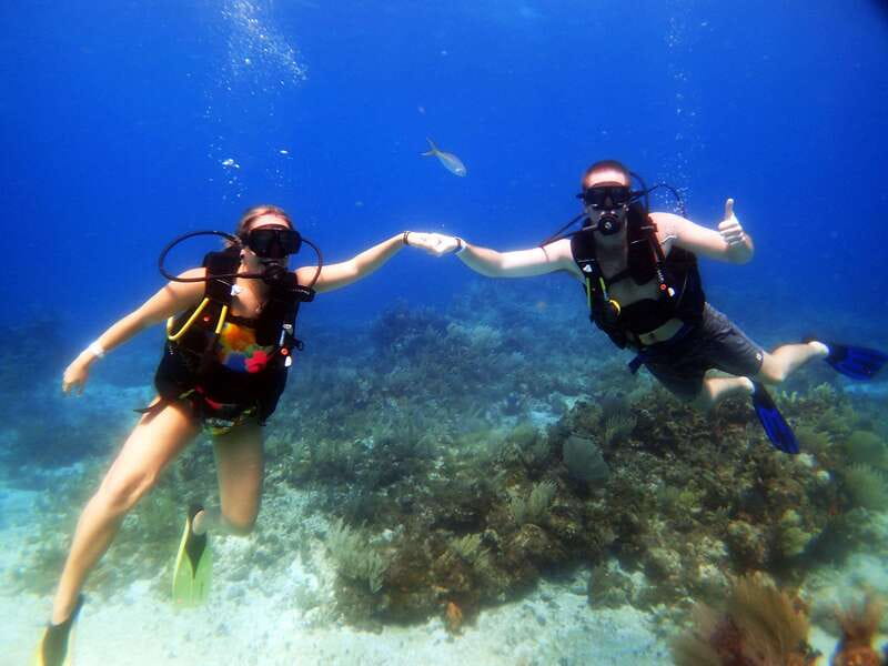 Cancun: 2-Tank Dive for Beginners with MUSA and Reef Dive - Second Stop on a Natural Reef: Color and Marine Variety