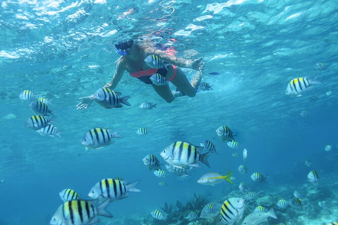 Cancun 4 hour Private Yacht Experience with Lunch and Open Bar Onboard - Snorkeling at El Meco reef: included gear and real water time