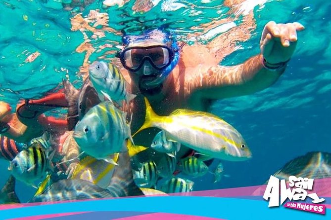 Cancun Adults Only Party Cruise to Isla Mujeres with Open Bar - Playa Langosta Check-In: The Dock Fee and the Real Timing of Getting on Board
