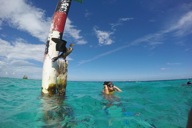 Cancun Adventure: Reef Snorkeling & Parasailing Experience - Guided Snorkeling in Calm, Shallow Water (Up to 9 Feet)