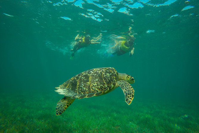 Cancun Adventure: Reef Snorkeling & Parasailing Experience - Guides Make the Difference: Chuy, Angel, Arturo, Estill, and Robert