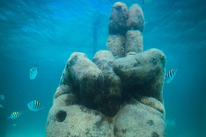 Cancun Adventure: Reef Snorkeling & Parasailing Experience - Parasailing Over the Caribbean and Isla Mujeres