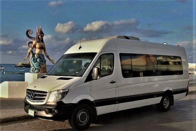 Cancun Airport and Hotel Riu Palace Las Americas Private Shuttle - Price and What You Really Get for $75