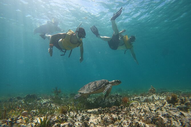 Cancun All Inclusive Catamaran Tour to Isla Mujeres - From Cancun Marina to Isla Mujeres, this feels like a full-day reset
