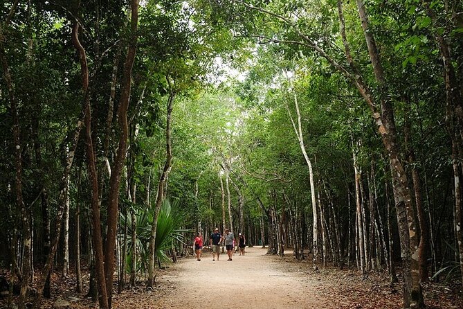 Cancun ATV Adventure, Horseback Riding, Zip Lines, and Cenote - Zip lines, suspension bridge, and spider web: the adrenaline stretch
