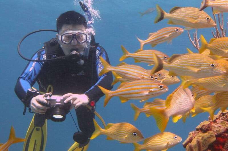 Cancun: Beginner Scuba Diving at Underwater Museum - Price and add-ons: what $109 really turns into
