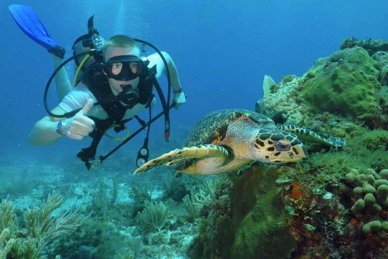 Cancun: Beginner Scuba Diving at Underwater Museum - Where you meet at Sotavento, and how the day flows