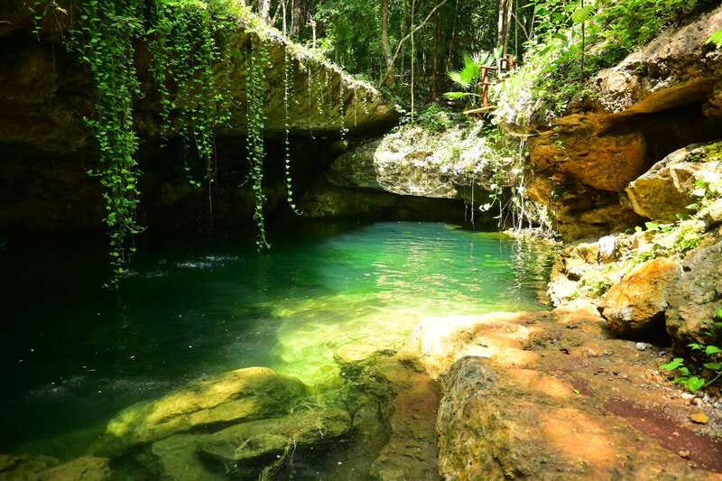 Cancún: Cenotes Adventure with Tequila Tasting & Mayan Snack - Wildlife spotting in cenotes: what you might see and how to act