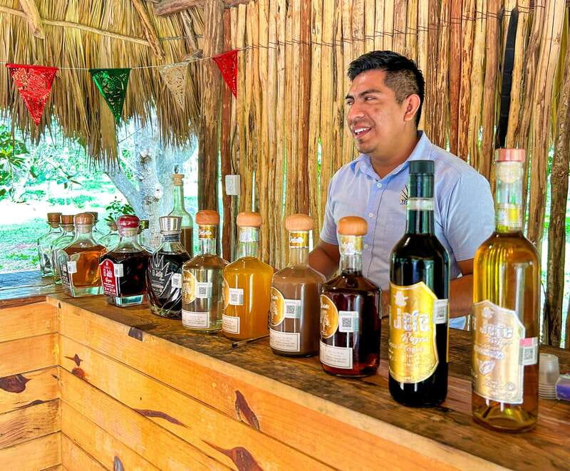 Cancun: Chichen Itza All-Inclusive & Cenote. No hidden fees - Price and what is truly included for $169
