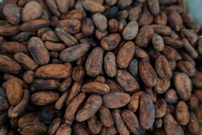 Cancún: Chocolate Making Class and Tasting with Chef - The Mayan Story Behind Your Cup of Cocoa