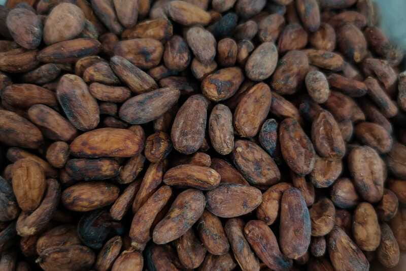 Cancún: Chocolate Making Class and Tasting with Chef - Who Should Book This, and Who Might Skip