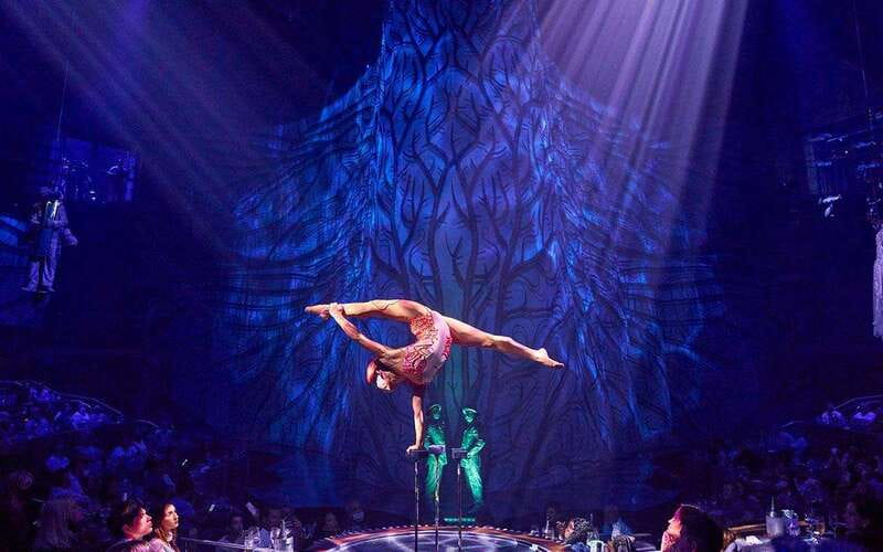Cancún: Cirque du Soleil JOYÀ Entry Ticket and Transfer - Price and value: is $106 per person a smart buy?