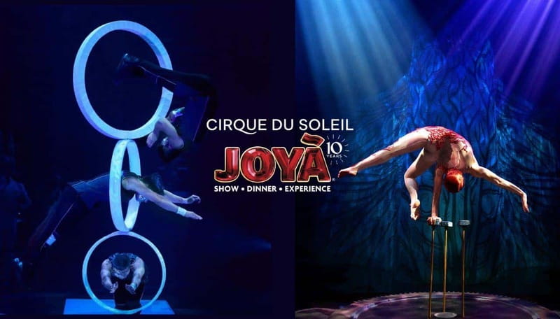 Cancún: Cirque du Soleil JOYÀ Entry Ticket and Transfer - Vidanta Riviera Maya: where JOYÀ turns a night out into a full event