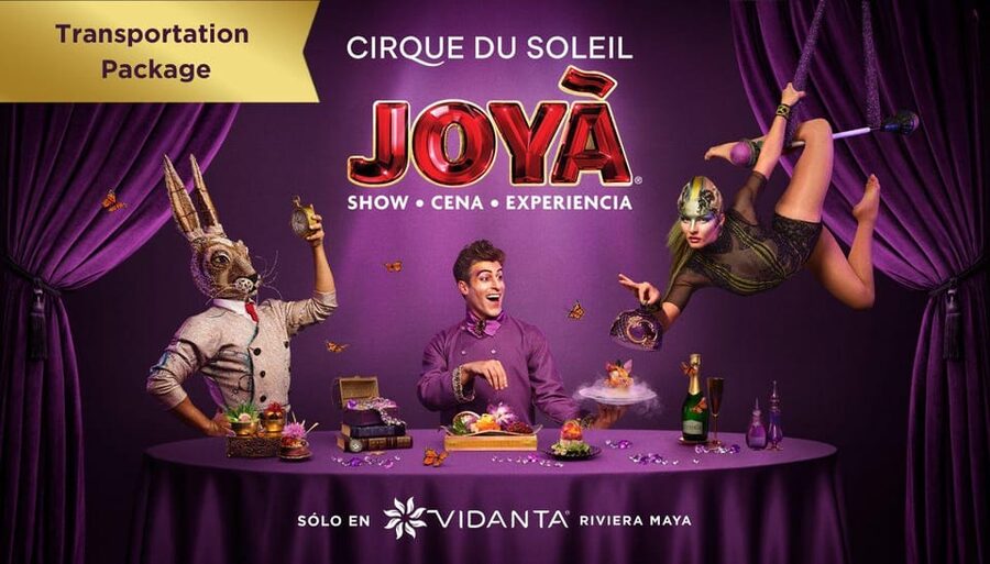 Cancún: Cirque du Soleil JOYÀ Entry Ticket and Transfer - Epik and the aerial experience: what to watch for without overhyping it