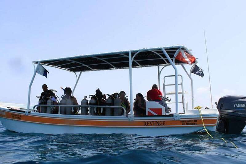 Cancun: Dive Underwater Museum & Manchones Reef - Practical tips to make your day smoother