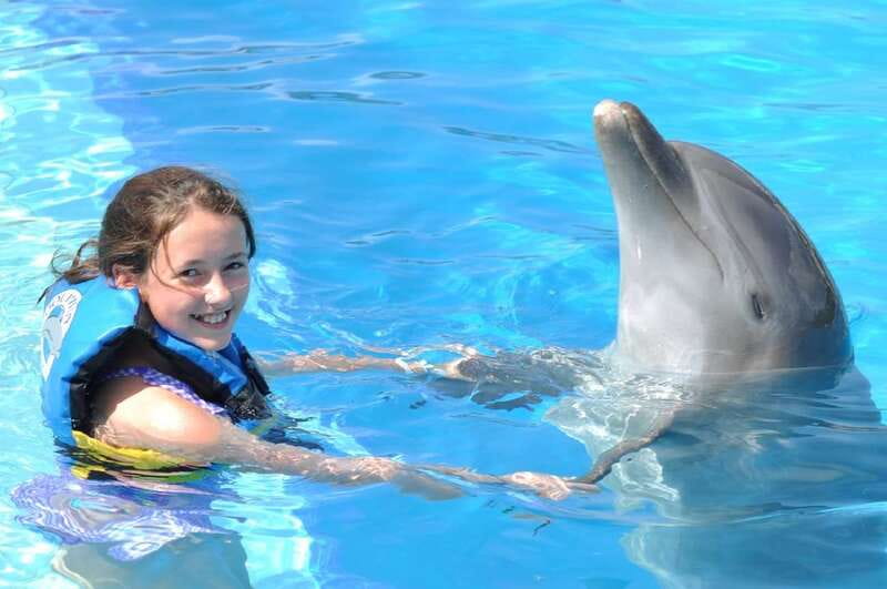 Cancún: Dolphin Encounter on Isla Mujeres with Buffet - Key highlights you will care about