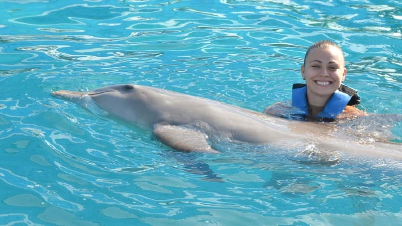 Cancún: Dolphin Encounter on Isla Mujeres with Buffet - Ferry-first itinerary from Cancún to Isla Mujeres