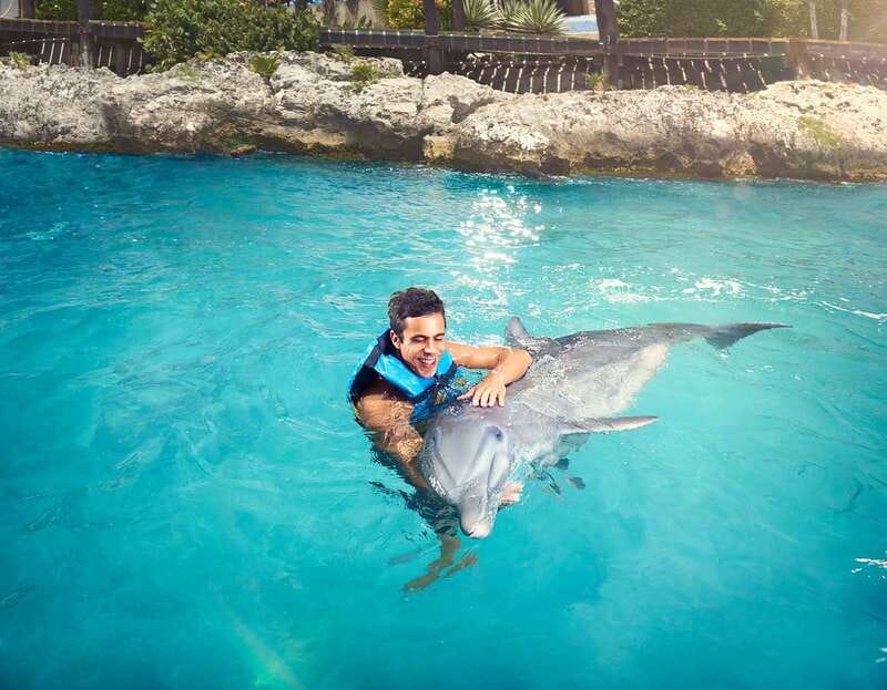 Cancún: Dolphin Encounter on Isla Mujeres with Buffet - Dolphin Discovery experience: who guides you and what you learn