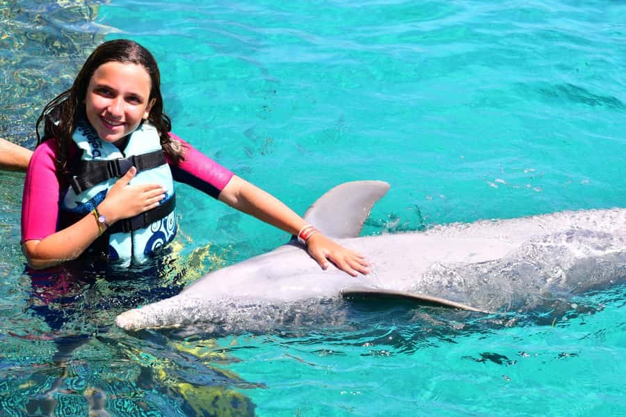 CANCUN: Dolphin Swim Adventure with buffet and soft drinks - Dolphin Discovery Cancun Dolphin Swim: What You’re Really Paying For