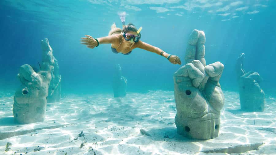 CANCUN: Dolphin Swim Adventure with buffet and soft drinks - Group Free Time and Observing Anatomy: The Part That Feels Most Personal