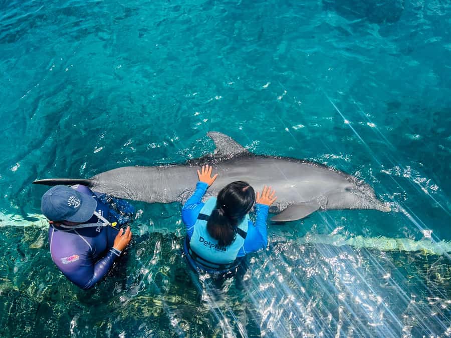 CANCUN: Dolphin Swim Adventure with buffet and soft drinks - Lunch and Soft Drinks at the Dolphin Discovery Restaurant: What to Expect