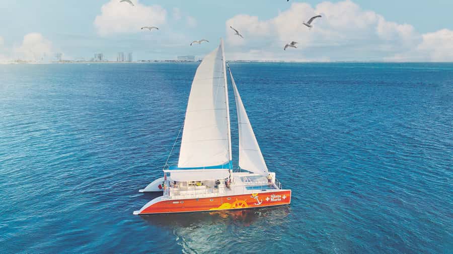 CANCUN: Dolphin Swim Adventure with buffet and soft drinks - Who Should Book This Dolphin Swim Program, and Who Should Skip It