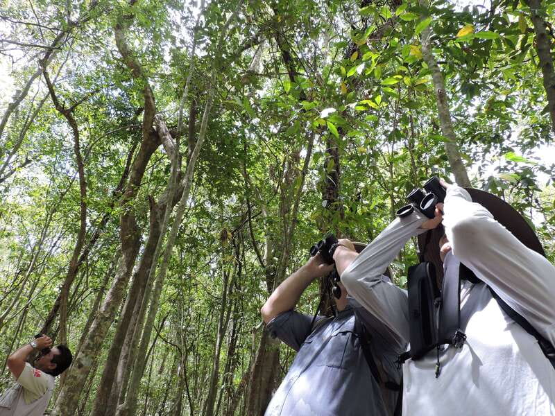 Cancún: Guided Birdwatching Hike - Why Ruta de los Cenotes makes this hike feel special