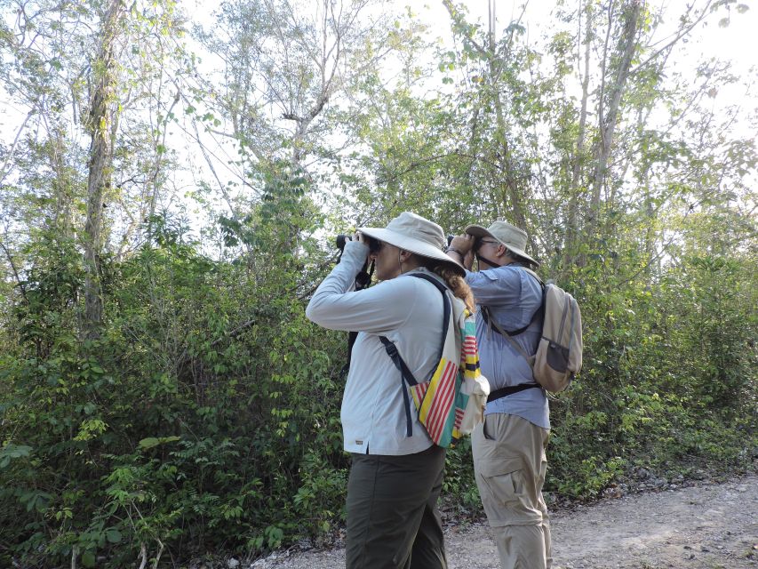 Cancún: Guided Birdwatching Hike - Price and value: what $169 really buys you