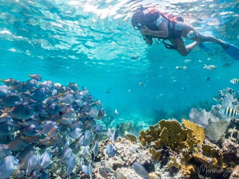 Cancun: Half Day Private Catamaran to Isla Mujeres - Snorkeling at El Meco: the reef stop that makes the whole trip feel like more than a boat ride