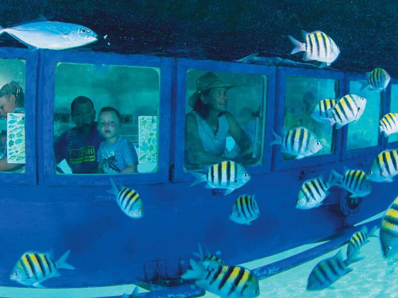 Cancún: Hop-on Hop-off Bus Tour with Submarine Trip - Key points to know before you go