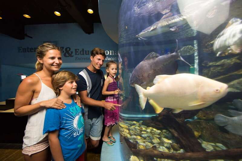 Cancún: Interactive Aquarium Admission - Inside the Interactive Aquarium at Plaza La Isla