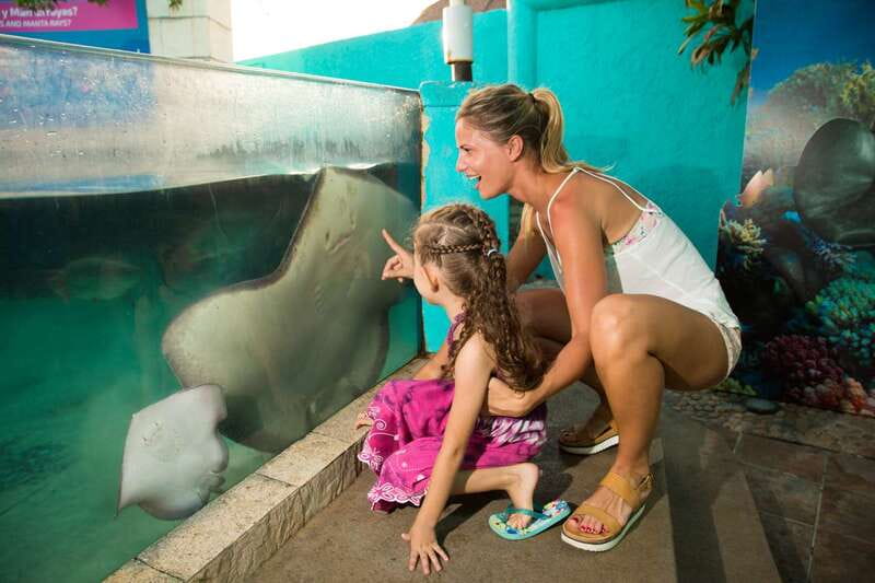 Cancún: Interactive Aquarium Admission - The touch tanks: rays, starfish, and sea urchins