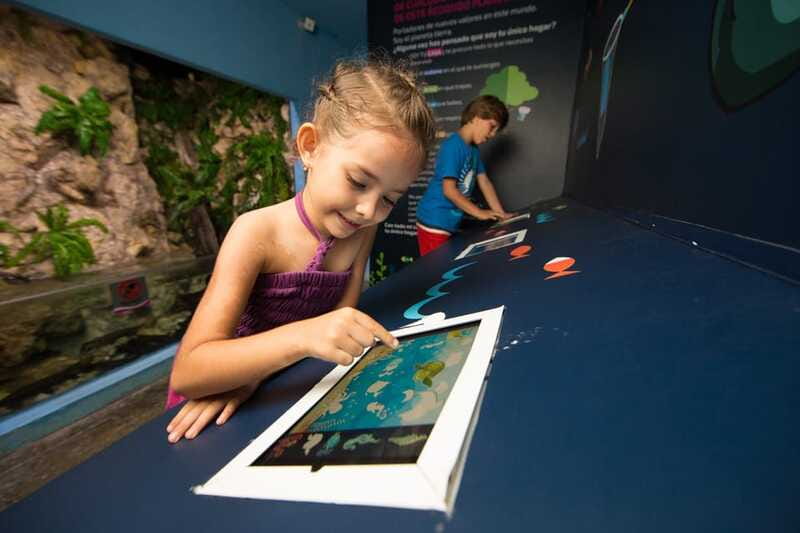 Cancún: Interactive Aquarium Admission - Dolphins: watching interaction, not a full dolphin program